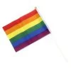 Rainbow LGBTQI Pride Hand Flag