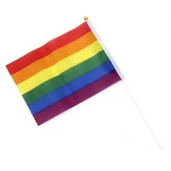 Rainbow LGBTQI Pride Hand Flag