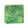 Green Tie Dye Bandana -Fusion Charm Shop 44111