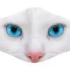 Face Mask – White Cat/Blue Eyes -Fusion Charm Shop 5