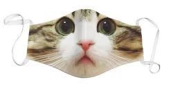 Face Mask – Kitten