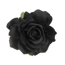 Black Flower