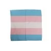 Transgender Flag – Bandana -Fusion Charm Shop 96031 2