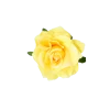 Yellow Flower -Fusion Charm Shop Cybershop1475