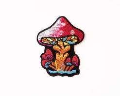 Magic Red Mushroom Patch