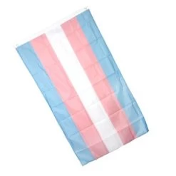 Large Transgender Flag