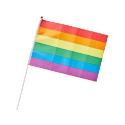 Rainbow LGBTQ Hand Flag – Medium