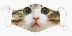 Face Mask – Kids/Kitty