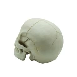 Resin Skull Head -Fusion Charm Shop ca99d6b3 f463 4f52 b564 4c677bba32dc