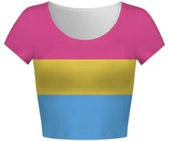 Pride Pansexual Flag Crop Top