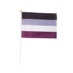 Asexual Pride Hand Flag – Small