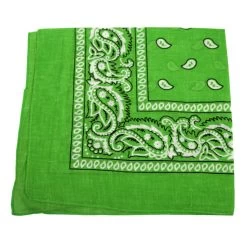 Light Green Bandana