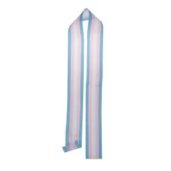 Transgender Flag – Lippu