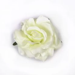 Cream Flower