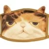 Face Mask – Lazy Cat -Fusion Charm Shop untitled 84 2