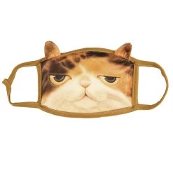 Face Mask – Lazy Cat -Fusion Charm Shop untitled 85 1